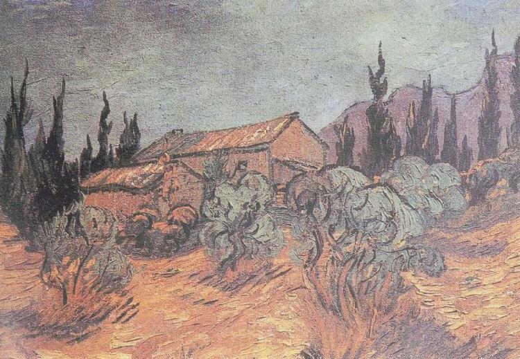 Vincent Van Gogh Huts surrounded by olive trees and cypresses Spain oil painting art